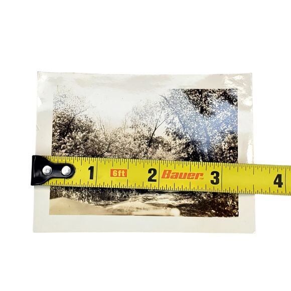 Vtg Beautiful Nature Trail Original Monochrome Photo Nature Core Found Snapshot - Picture 3 of 4